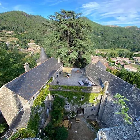 Bed & Breakfast Le Chateau De Cambiaire Saint-Etienne-Vallee-Francaise
