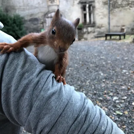 Le Chateau De Cambiaire Bed & Breakfast 4*