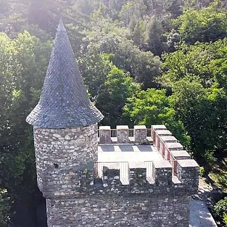 Bed & Breakfast Le Chateau De Cambiaire Saint-Etienne-Vallee-Francaise
